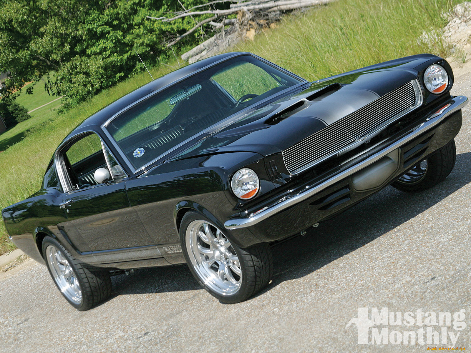 , mustang